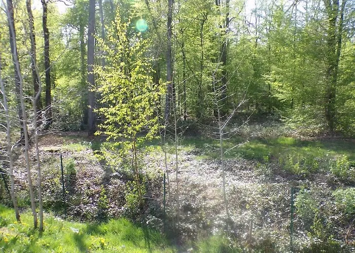 Chalet en bordure de forêt