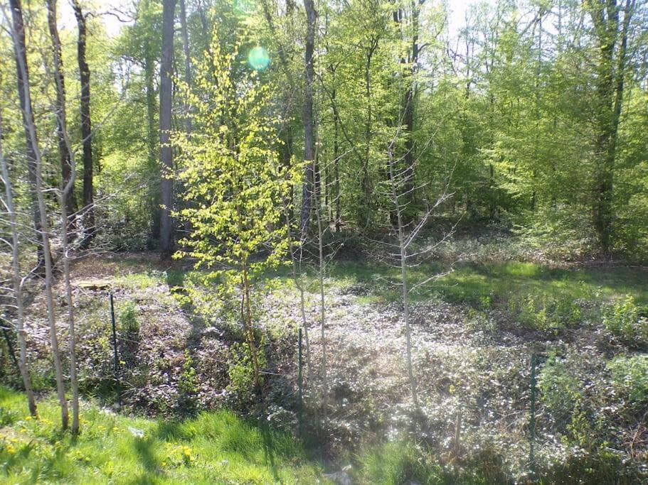 En Bordure De Forêt Chalet Signy-le-Petit