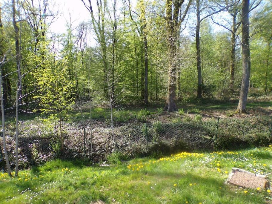 Chalet En Bordure De Forêt *