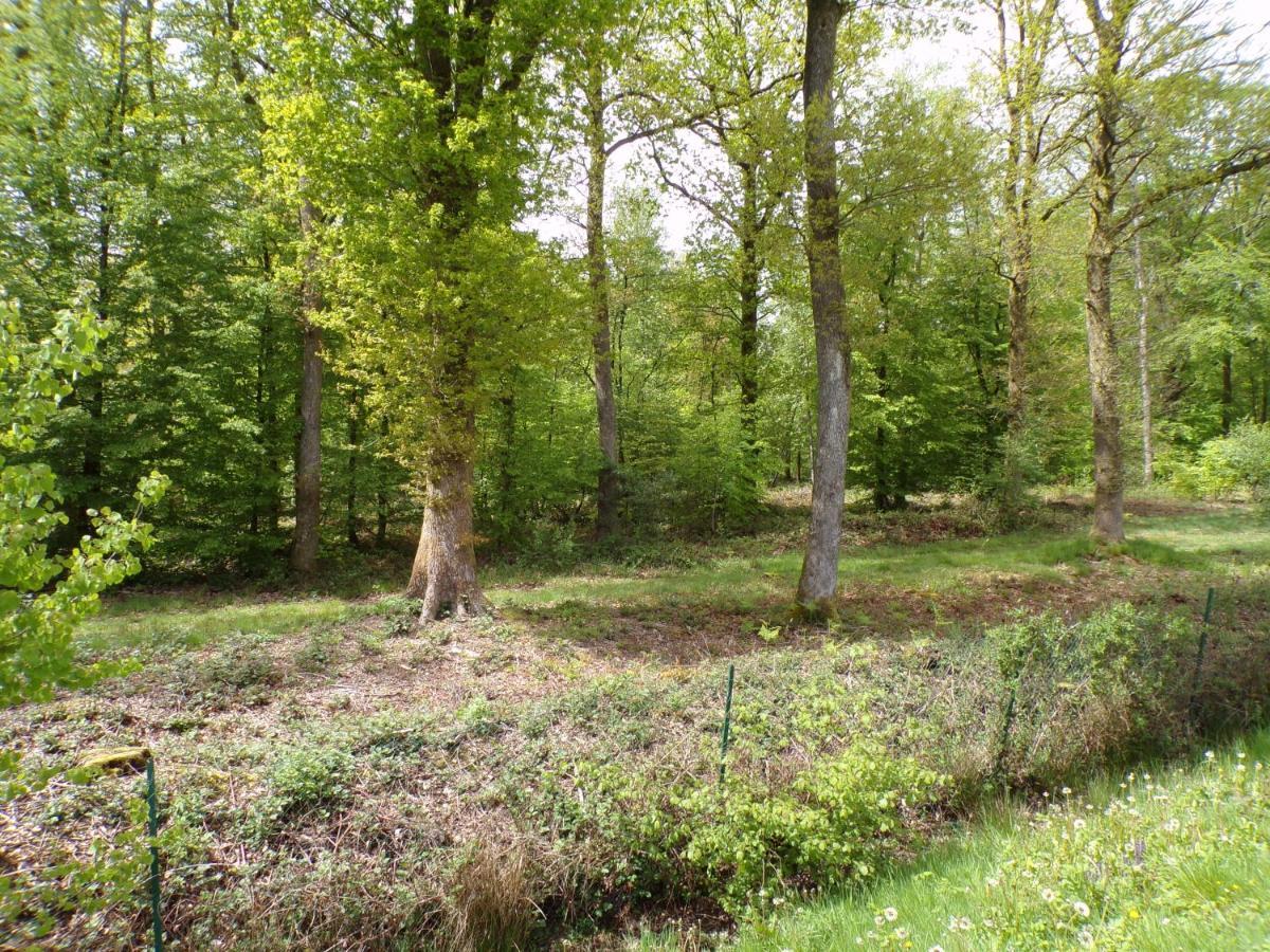 En Bordure De Forêt Chalet *